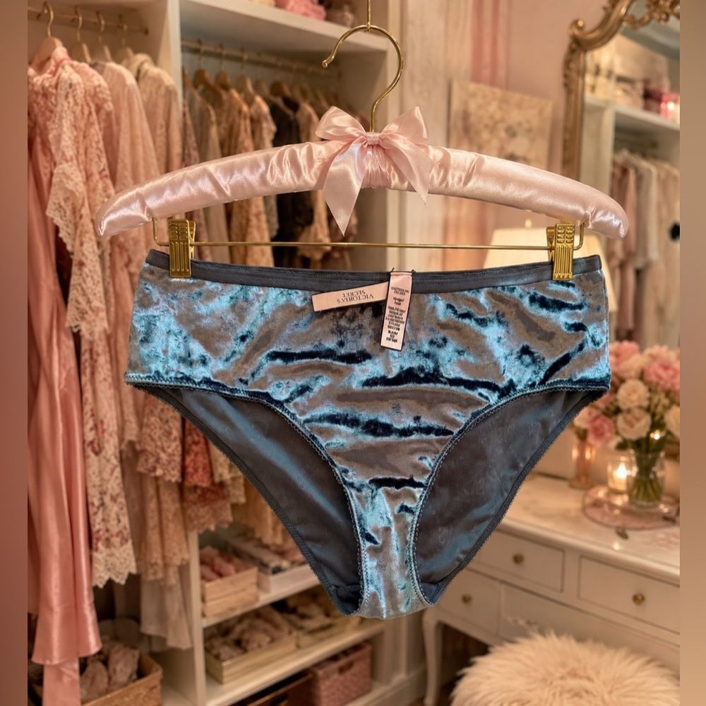 NWT Victorias Secret Sz XL Metallic Velvet Hipster Hip-hugger Panty